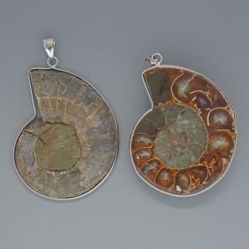 Ammonite Pendant, diameter range 35×43 mm to 37×45 mm, length approx. 53 mm, in a silver-tone setting