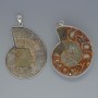 Ammonite Pendant, diameter range 35×43 mm to 37×45 mm, length approx. 53 mm, in a silver-tone setting