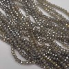 Gray Transparent Czech Crystal Beads with Gold Plating, Faceted Rondelle, 3.5×2.5 mm, 39 cm on Beading Wire