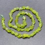 Chrysoprase beads on thread, natural unpolished stone, faceted, diameter 8x6 mm, length 40 cm
