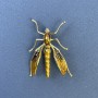 Insect Brooch - Golden-Tone Metal, Diameter 39 mm, Length 42 mm