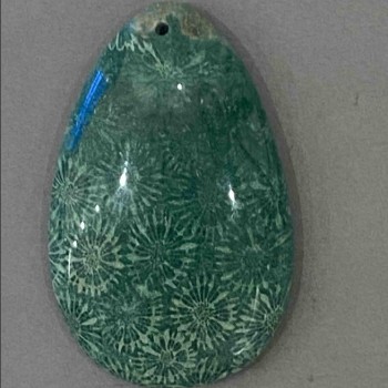 Pendant Fossilized Coral 55×32 mm+