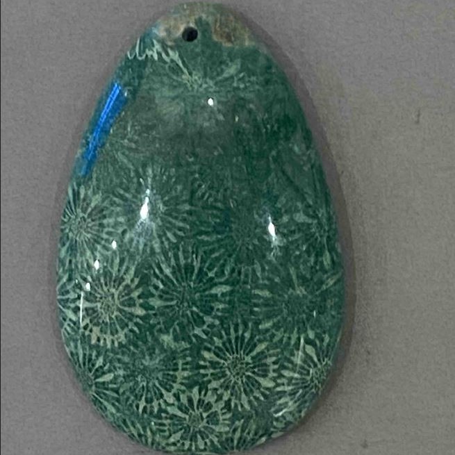 Pendant Fossilized Coral 55×32 mm+