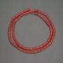 Natural Red Coral Beads, Cylindrical Tube, Diameter 3.5×5.5 mm, Length 40 cm +/-