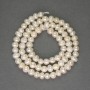 Freshwater white oval pearls on a thread, diameter 5x5-5.5 mm, length 35 cm+
