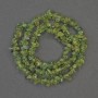 Chrysoprase chips beads, 5×3 mm, on thread, length about 40 cm