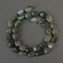 Moss Agate Beads, Faceted, 12x10 mm Diameter, 40 cm Length on Thread