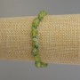 Chrysolite faceted bracelet, diameter 7-9x6 mm ±; Chrysoprase faceted rondel 3.5x3 mm ±; length 18 mm ±; Stretch