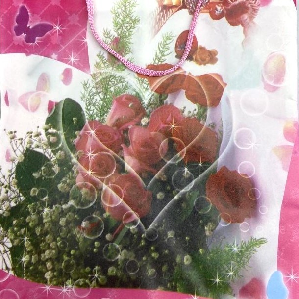 Gift bag 24×18 cm (PE material)