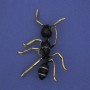 Ant Brooch with Black Enamel, Gold-Tone Metal 42×57 mm+