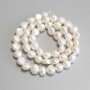 Freshwater Pearls Beads, diameter 7–8×6–7 mm on a thread, length 36 cm+