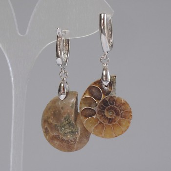 Earrings with natural ammonites 24×17×6 mm +-, length 50 mm+-