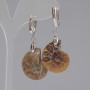 Earrings with natural ammonites 24×17×6 mm +-, length 50 mm+-