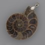 (for 1 pc) Ammonite Pendant 42×35mm±, length 52mm±