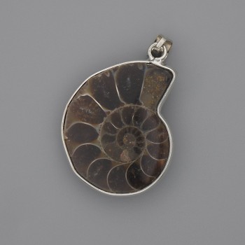(for 1 pc) Ammonite Pendant in a Silver Bezel 30×26 mm, length 43 mm