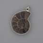(for 1 pc) Ammonite Pendant in a Silver Bezel 30×26 mm, length 43 mm