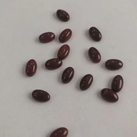 Cabochon Findings, Mini Oval, Red Jasper, 8x5 mm+
