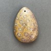 Fossilized Coral Pendant 39×27 mm+
