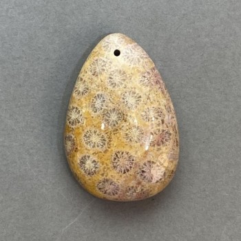 Fossilized Coral Pendant 39×27 mm+