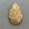 Fossilized Coral Pendant 45×29 mm+