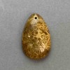 Pendant Fossilized Coral 38×24mm+
