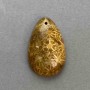 Pendant Fossilized Coral 38×24mm+