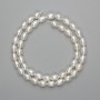 Natural freshwater pearl beads, 7.5–9×5.5–6 mm, 37 cm thread length