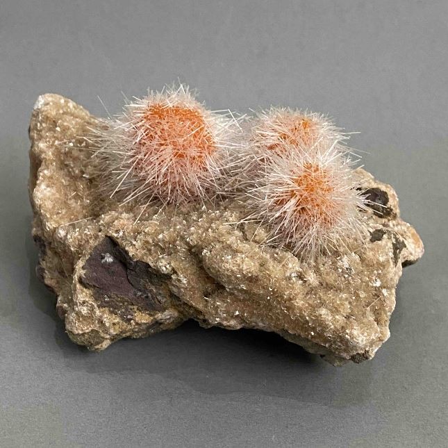Souvenir Indian Dandelion Zeolite 100×53×50 mm ± weight 308 g +