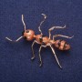 Discount! Ant Brooch enamel, golden metal 42×57 mm