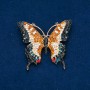 Sale! Butterfly Brooch with Multicolored Crystals, Gold-Tone Metal 50x55mm +