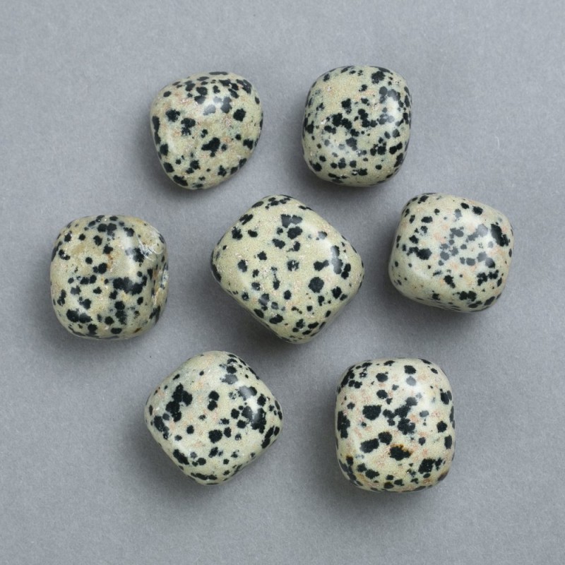 Souvenir Natural Stone Dalmatian Jasper, diameter 22x20mm ± (packaging 100g)