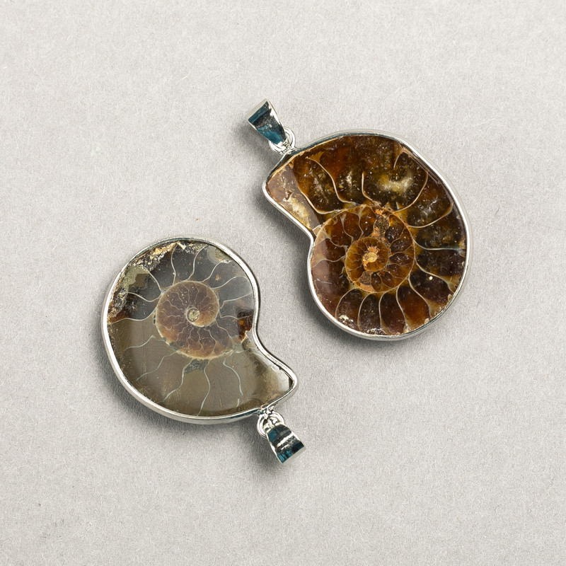 (per 1 pc.) Ammonite Pendant in a Silver Setting, assorted sizes from 20x30mm± to 30x40mm±