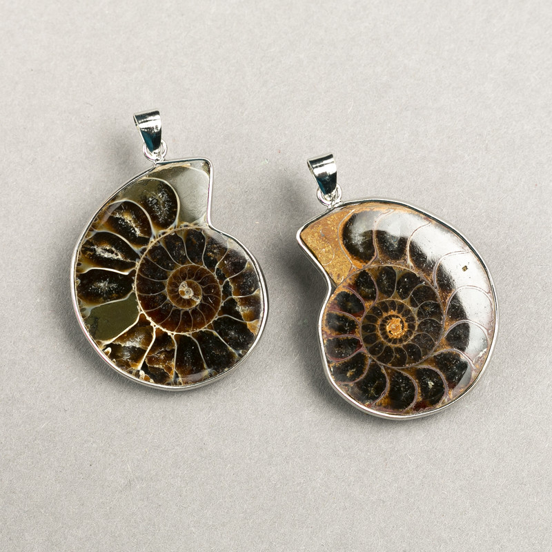 (per 1 piece) Ammonite Pendant in Silver-Tone Setting, Assorted Sizes from 30×40 mm to 40×50 mm