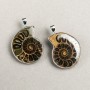 (per 1 piece) Ammonite Pendant in Silver-Tone Setting, Assorted Sizes from 30×40 mm to 40×50 mm