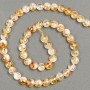Natural Citrine Bead Strand, Faceted Coin Beads, 8x5 mm, 40 cm Length +