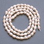 Fine river pearls on thread, diameter 4×4 mm, 5 mm ±, length 36 cm