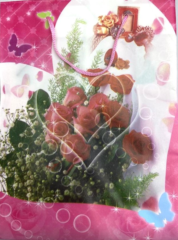 Gift bag 24×18 cm (PE material)