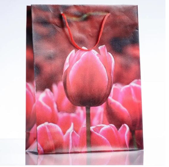 Clearance! Gift bag 18×24 cm (PE material)
