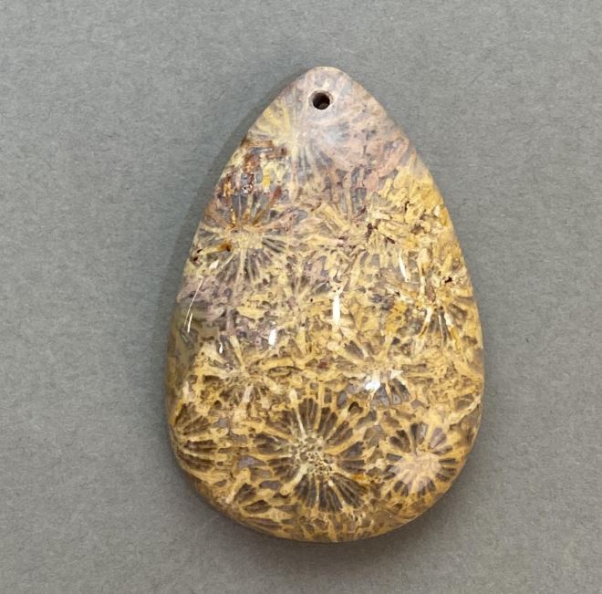 Fossilized Coral Pendant 48×32 mm+