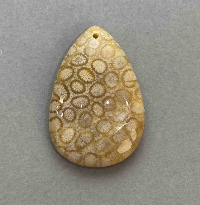 Fossilized Coral Pendant 48×32 mm+