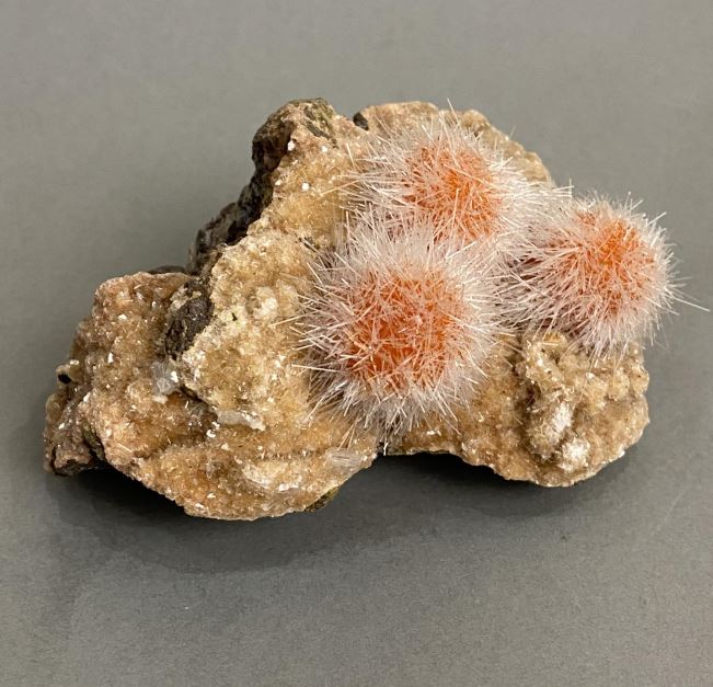 Indian Dandelion Zeolite Souvenir 93x60x60 mm ± weight 251 g