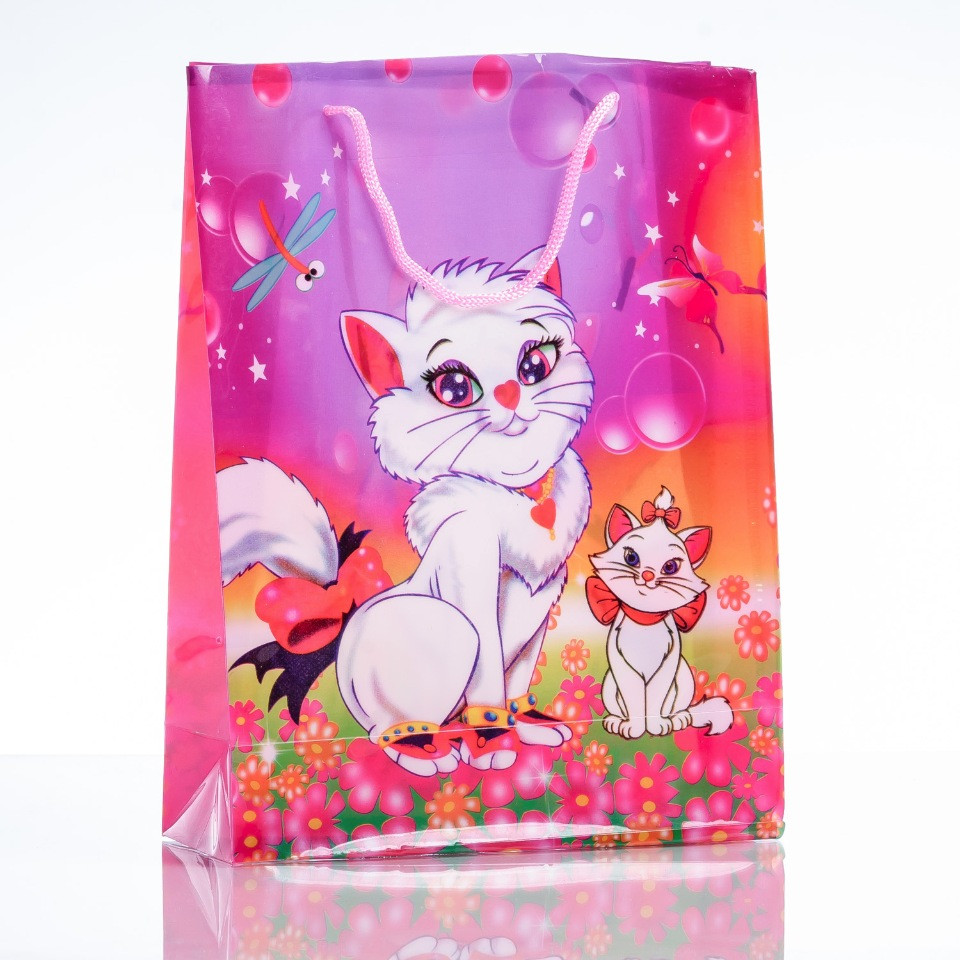 Gift bag 24×18 cm (PE material)